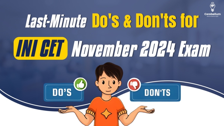 INICET November 2024 Exam