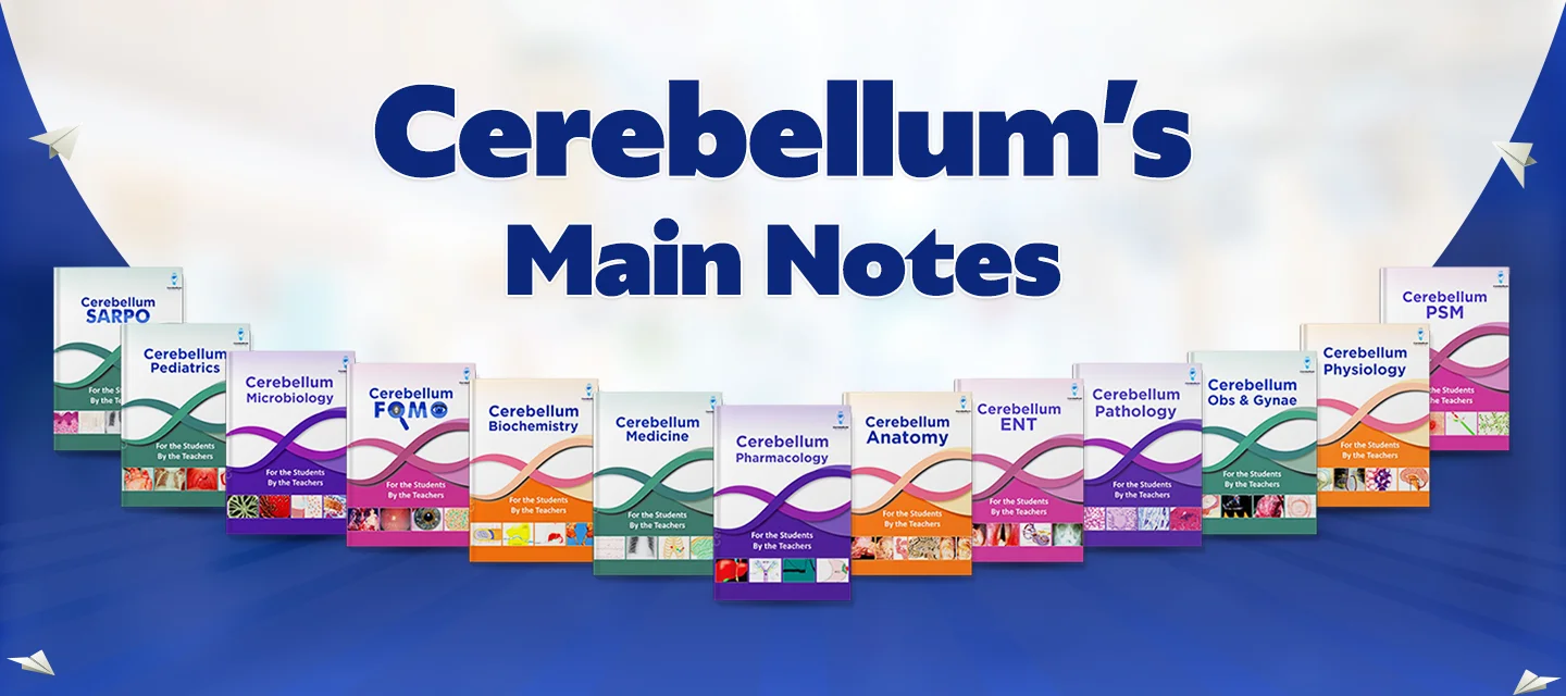 Cerebellum's Main Notes
