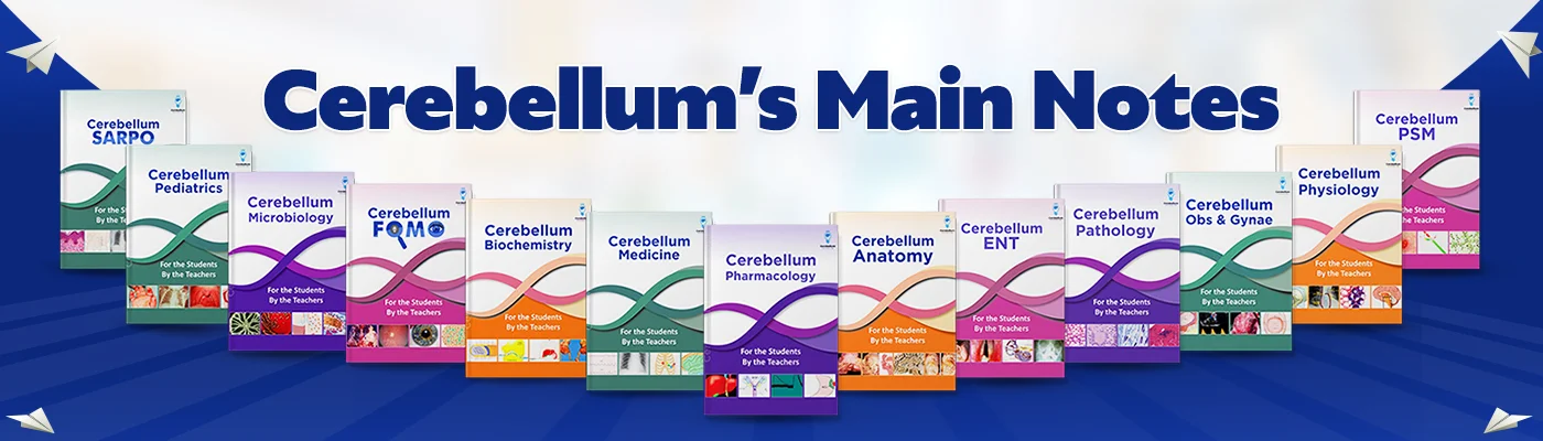 Cerebellum's Main Notes