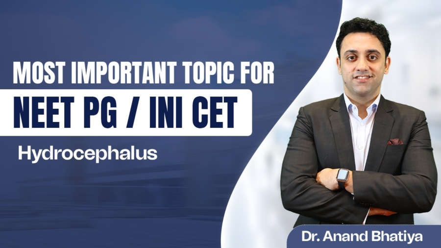 WhatsApp Image 2025-08-14 at 6.03.33 PM