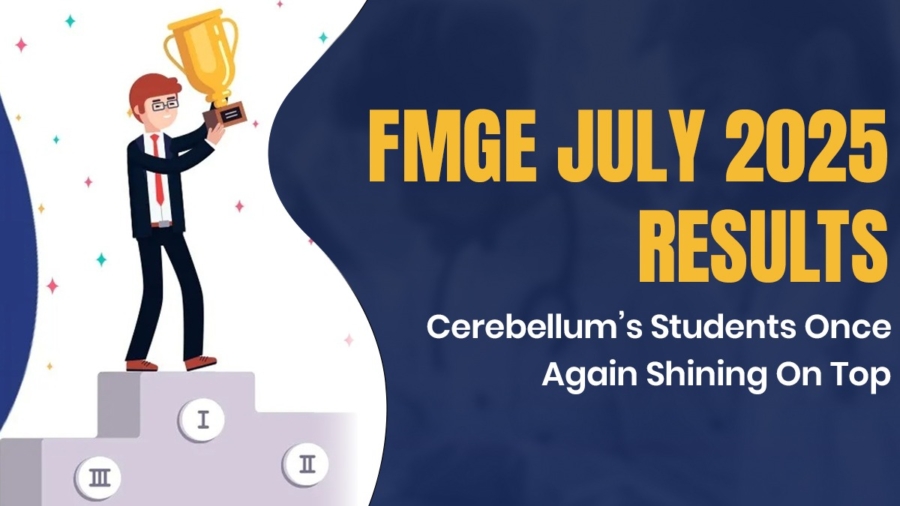 FMGE 2025 Result