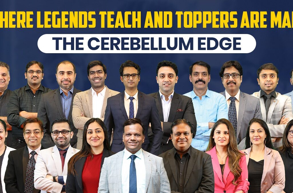 Cerebellum Academy
