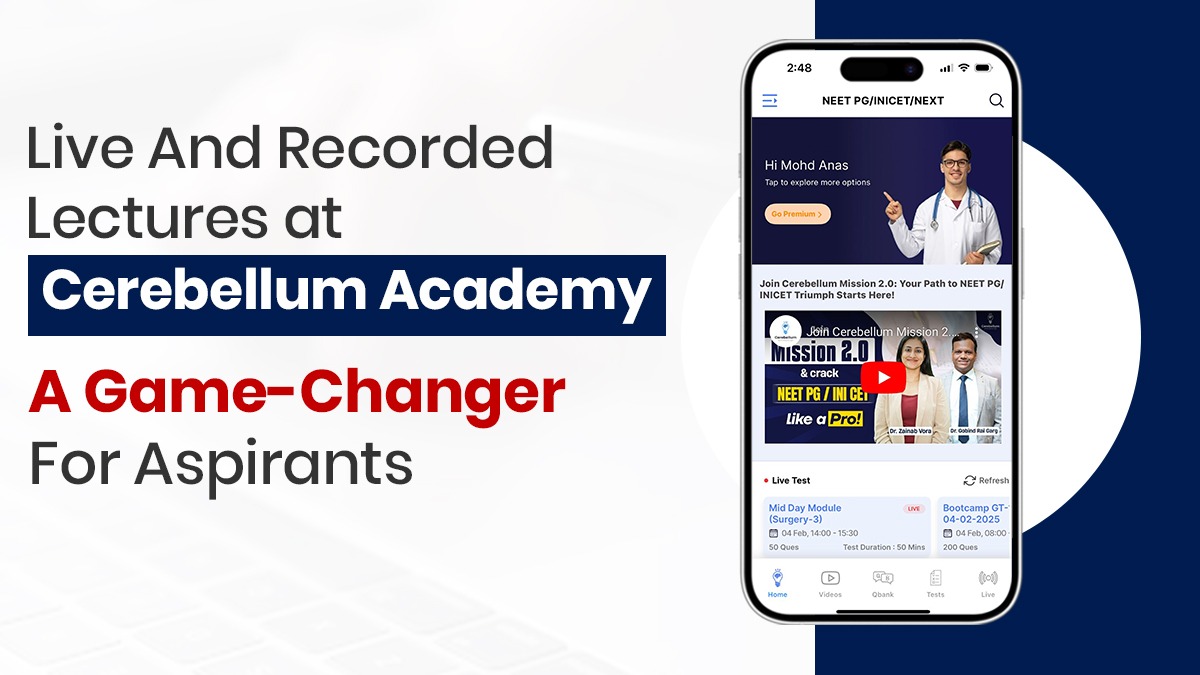 Cerebellum Academy