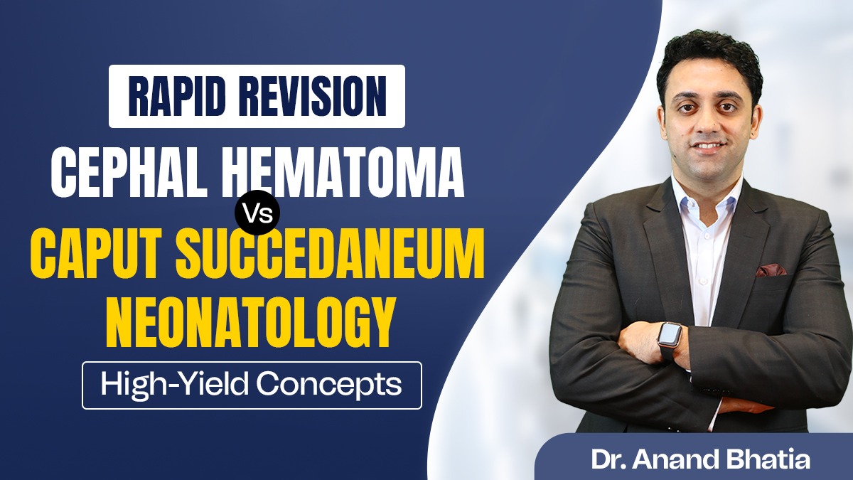 WhatsApp Image 2025-11-01 at 5.56.34 PM