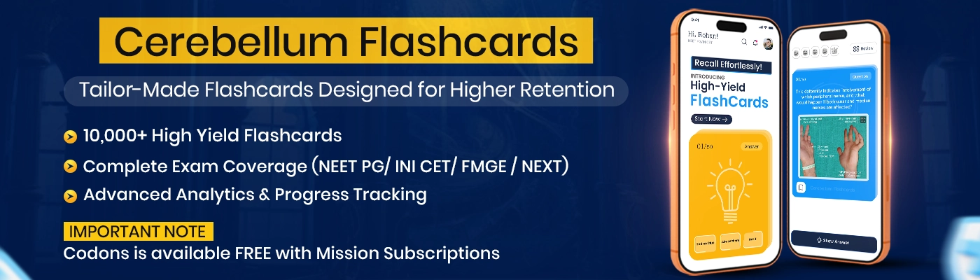 Cerebellum Flashcards